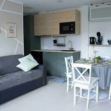 5min Aeroport Cdg Appartement *